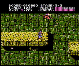 Ninja Gaiden